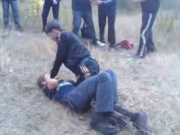 Араванда 3 окуучу бычактан жаракат алып ооруканага түштү