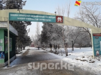 Боинг кырсыгынан жабыр тарткан 24 адам ооруканаларда дарыланууда