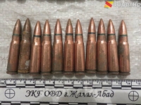 Жалал-Абад шаарынын тургуну ири өлчөмдөгү ок-дарылар менен кармалды