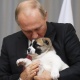 Түркмөн башчысы Бердымухамедов Путиндин туулган күнүнө алабай күчүк белек кылды