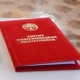 ЖЫЛНААМА, 19-ОКТЯБРЬ: Бир жыл мурун Конституциянын түп нускасы жоголгон