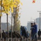 Бишкек шаарына 400 жазы жалбырактуу жана ийне жалбырактуу көчөттөр отургузулду