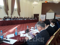 Өлкө аймагында 8 ай ичинде 36 эненин өлүмү катталды
