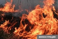 ӨКМ: "Баткендин Тигин-Ава тоосундагы өрт толук өчүрүлдү"