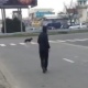 ЭЛДИК ВИДЕО: Жол эрежесин итчелик сактай албайбызбы?