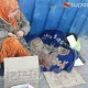 ЭЛДИК КАБАР: "Кара-Суу" базарында кайыр сурап отурган келиндин балдары суукта көчөдө уктап жатат" дейт окурман