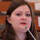 Депутат Никитенко өкмөт башчыдан бажы тармагындагы коррупциялык иштерди изилдеп чыгуусун талап кылды