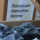 Активисттер Курманбек Бакиевге ич кийим чогултушту