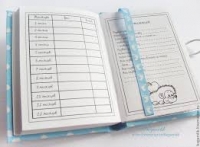 Депутат: "Эгемендүүлүктү алгандан бери биздин балдардын өрчүүсү башкалардан артта калууда"