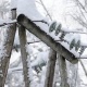 "Түндүк электр" ишканасы: "Талас жана Чүй облусундагы авариялык өчүрүүлөр кечке чейин калыбына келтирилет"
