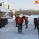 Өткөн суткада борбордун жолдоруна 696 тонна кум, 52 тонна туз себилди