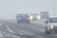 Бир жумада жол эрежесин бузган 420 айдоочунун унаасы айып жайга токтотулду