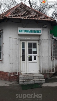 Бишкекте 30 даана димедрол ичип, эс-учун жоготкон кыз ооруканага түштү