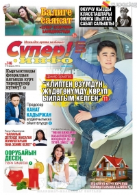 Коопсуз үй. Тез күйүп кетүүчү курулуш материалдары кайсылар?