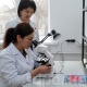 Таласта фитосанитардык лабораториянын ачылышы болду