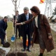 Бишкекте Атамбаев, Илмиянов, Ибраимов көчөттөрдү отургузушту