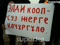 Боинг кырсыгынан жабыркагандар митингге чыгышты