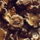 Ашказанына козу карындар өсүп кеткен кытайлык аялга операция жасалды