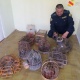 Кекиликтерге мыйзамсыз аңчылык кылган Тажик Республикасынын 6 жараны кармалып, 58 миң сом айып салынды