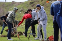 Активисттер чек араны бекемдешти