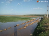 Ноокендеги Сакалды айыл өкмөтүндө 5590 киши тууган-уруктарынын үйлөрүнө көчүрүлдү