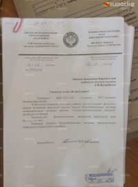 Илимдер академиясы "сасык" деген сөзгө экспертиза жүргүзүүдөн баш тартты