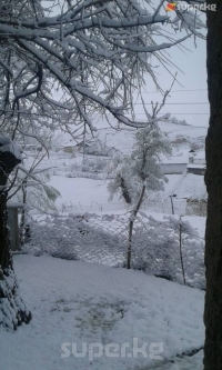 Шашылыш билдирүү! Өлкөдө 30-апрелден 1-майга чейин туруксуз аба ырайы күтүлүп, тоо этектеринде үшүк жүрөт