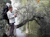 Күн жылып, Бишкек шаарынын тургундары жаратылыш коюнуна эс алууга чыга башташты