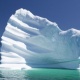 Бириккен Араб Эмираттары Антарктидадан айсбергдерди алып келүүнү пландоодо