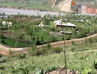 Жер көчкүлөрдү алдын алуу үчүн үч жылда өлкөдө 510 миңге чукул көчөт отургузулду