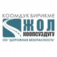 &ldquo;Ылдамдыкты төмөндөт!&rdquo; жумалыгынын катышуучулары айдоочуларды адам өмүрүн сактоого чакырат