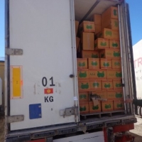 Кытайдан өрдөктүн эттерин алма деп алып өтүүгө аракет кылгандар кармалды