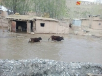 Чоң-Алай районунда дарыянын деңгээли көтөрүлүп, 50дөй турак үйдү суу каптоо коркунучу жаралды