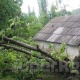 ЭЛДИК КАБАР: Аксы районундагы Кой-Таш айылында жамгыр жаап сел жүрүп, сарайлардын чатырларын шамал учурду