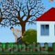 Ысык-Көлдө 8-класстын окуучусу тарткан анимациялык фильм Канадада өтө турган эл аралык кинофестивалга катышат