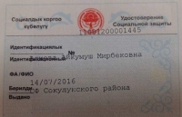 Мамкаттоо кызматы: "Өлкө боюнча 12 миң жарандын жеке номери туура эмес, бул көйгөйдү чечүүнү депутаттар колдогон жок"