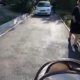 Бишкекте тротуарда унаа айдап бара жаткан аял колясканы бала менен кошо сүзүп кетти