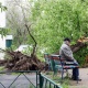 Орусиянын Москва өрөөнүндө катуу шамалдан 13 адам каза тапты