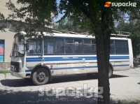 Бишкектеги дарактарды кыюу учурунда кармалгандардын арасында экологдор да бар