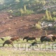 Быйыл өлкө боюнча 5 айда 158 жолу жер көчкү жүрүп, рекорддук чекке жетти