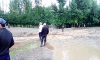 Аксыда Тегирмен-Сай айылын сел каптап, курчоодо калган 5 үй-бүлө куткарылды