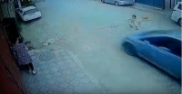 Чүйдө 4 жашар кызды сүзүп качып кеткен өспүрүм айдоочу кармалды
