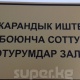 Жогорку Сот Чолпон Жакуповага коюлган өлкөдөн чыкпоо чечимин күчүндө калтырды 