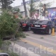 Бишкек шаарында катталган катуу шамалдан 12 дарак кулап, 5 адам жабыркады