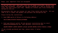Petya вирусунун чабуулунан эң көп жабыркаган өлкө Украина болду