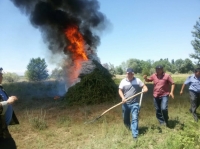 Таласта 2 тонна кара куурай чаап жыйналып, кийин өрттөлдү