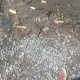 ЭЛДИК КАБАР: Ошто эс алуучулардын айынан Ак-Буура дарыясынын жээги таштандыга толду