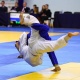 Бүгүн борбор калаада дзюдо боюнча Азия чемпиондугу старт алат