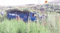 Сокулукта тургундун жер тилкесине 1 тоннадан ашык кара куурай өстүрүп жүргөнү аныкталды