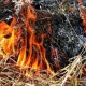 Өткөн суткада республикада 26 өрт кырсыгы катталып, Манас районунда 12 тонна жыйылган чөп күйдү